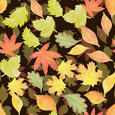 포토 JPG 해외이미지 나무 식물 손 디자인 계절 종이 백그라운드 단풍 잎 꽃무늬 패턴 오렌지 일러스트 자연 벽지 추상 수채화 미술 사람없음 그래픽 장식 빨간색 세트 컬러풀 갈색 노란색 정원 페인트 수확 가을 흰색 나뭇가지 숲 그림 유기농 질감 도토리 10월 내추럴 고립 엘리먼트 해외202004 해외포토 웰빙 꽃 컬러 무늬 농업 과일 문화예술 신체부위 견과류 날짜 생태계 파일형식 이미지허브