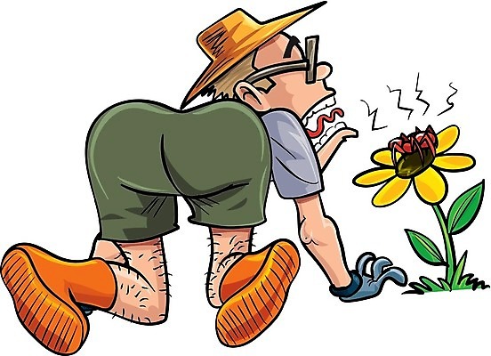 EPS 해외이미지 식물 계절 꽃 얼굴 컨셉 잎 일러스트 한명 사람 소녀 성인 야외 10대 놀람 물뿌리개 잡기 유머 무서움 물주기 원예 거미 해외202004 해외일러스트 1 여자 감정 어린이 곤충 모션 청소년 표정 취미 신체부위 파일형식 벡터 이미지허브