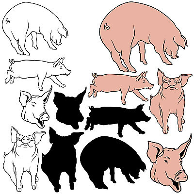EPS 해외이미지 클립아트 동물 실루엣 곡선 일러스트 포유류 세트 농장 가축 돼지 스케치 자르기 수집 뿌리기 그림 햄 윤곽 손그림 주둥이 멧돼지 해외202004 해외일러스트 선 농업 모션 촬영기법 육류 미술 파일형식 벡터 이미지허브