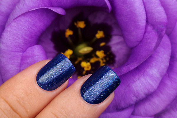 포토 JPG 해외이미지 손 꽃 손가락 휴가 미술 이벤트 사람없음 파란색 빛 유행 화장품 덮개 난초 손톱관리 손톱 아크릴 스타일 해외202004 해외포토 식물 컬러 재질 문화예술 신체부위 뷰티 뚜껑 네일아트 파일형식 이미지허브