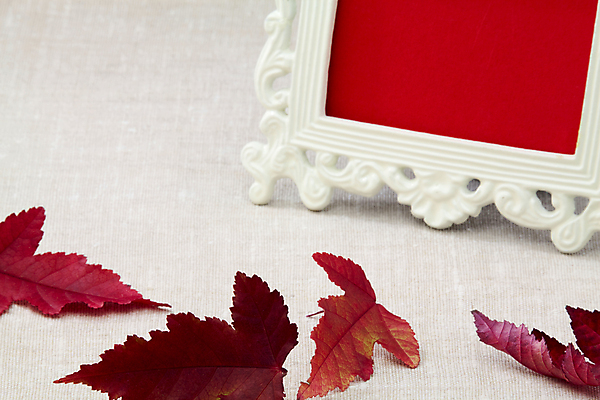 포토 JPG 해외이미지 계절 잎 사람없음 빨간색 가을 해외202004 해외포토 식물 컬러 파일형식 이미지허브