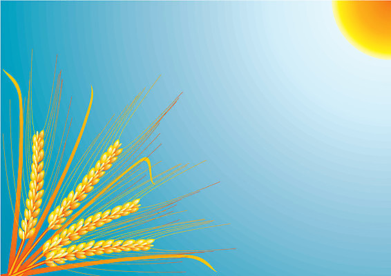 EPS 해외이미지 클립아트 식물 디자인 계절 실루엣 음식 빵 백그라운드 패턴 농업 일러스트 자연 하늘 휴가 새로움 건강 옥수수 미술 씨앗 장식 태양 노란색 수확 가을 시골 악단 황금 낟알 밀 심볼 그림 유기농 귀 내추럴 엘리먼트 호밀 해외202004 해외일러스트 자연요소 웰빙 산업 음악 컬러 컨셉 무늬 문화예술 곡류 촬영기법 신체부위 생태계 파일형식 벡터 이미지허브