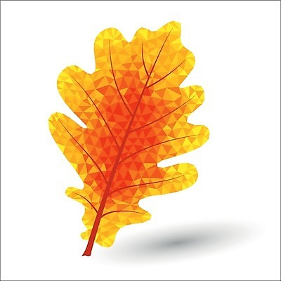 EPS 해외이미지 나무 식물 디자인 계절 공원 줄기 백그라운드 잎 패턴 일러스트 자연 날씨 그림자 미술 장식 빨간색 초록색 컬러풀 노란색 가을 흰색 시간 삼각형 숲 9월 심볼 질감 정맥 10월 내추럴 블러 엘리먼트 폴리곤 불규칙 해외202004 해외일러스트 도형 공공시설 컬러 컨셉 무늬 문화예술 날짜 생태계 혈관 파일형식 벡터 이미지허브