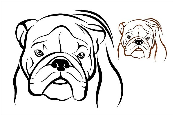 EPS 해외이미지 클립아트 얼굴 일러스트 영국 반려동물 갈색 머리 힘 주름 개 치아 스케치 심볼 사인 황소 근육질 불독 송곳니 고립 기르기 유래 전국 못생김 해외202004 해외일러스트 동물 유럽 컬러 포유류 근육 미술 신체부위 소화기관 소 몸매 돌봄 파일형식 벡터 이미지허브