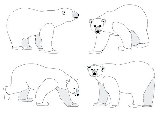 EPS 해외이미지 동물 야생동물 일러스트 곰 털 얼음 흰색 북극 육식동물 육식 고립 카피스페이스 해외202004 해외일러스트 멸종위기종 자연요소 컬러 포유류 공백 극지방 파일형식 벡터 이미지허브