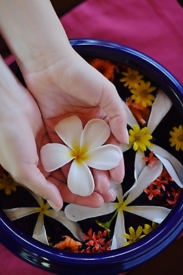 포토 JPG 해외이미지 손 꽃 들기 신체부위 물 수건 스파 손모으기 대야 해외포토 자연요소 식물 모션 사람 손짓 위생용품 파일형식 이미지허브