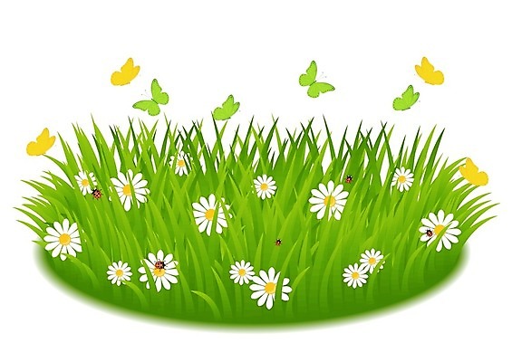 EPS 해외이미지 식물 꽃 행복 나비 곤충 잎 일러스트 자연 부활절 빨간색 초록색 노란색 정원 봄 원예 무당벌레 생태학 엘리먼트 캐모마일 해외202004 해외일러스트 동물 계절 교육 기념일 감정 컬러 취미 허브 생태계 파일형식 벡터 이미지허브