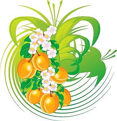 EPS 해외이미지 모양 나무 식물 디자인 꽃 실루엣 음식 백그라운드 컨셉 잎 꽃무늬 패턴 곡선 과일 일러스트 자연 추상 프레임 형상 미술 그래픽 장식 세로 여름 봄 흰색 나뭇가지 화려 우아함 두루마리 싱글 그림 복숭아 엘리먼트 회복 해외202004 해외일러스트 계절 선 컬러 무늬 문화예술 촬영기법 생태계 파일형식 벡터 이미지허브