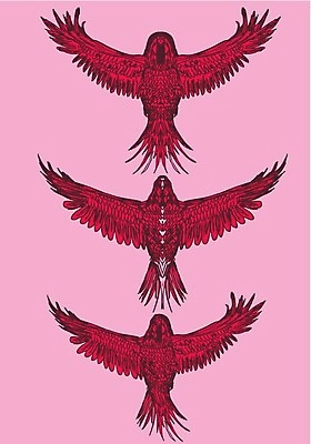 EPS 해외이미지 클립아트 실루엣 길 날개 일러스트 자연 갈매기 조류 오리 병아리 종류 파란색 세트 검은색 자르기 왜가리 플라밍고 문신 깃털 기중기 비둘기 사냥 클립 앵무새 윤곽 독수리 참새 거위 부족 벌새 집게발 황새 해외202004 해외일러스트 동물 컬러 컨셉 모션 촬영기법 중장비 생태계 파일형식 벡터 이미지허브