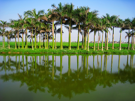 포토 JPG 해외이미지 나무 식물 공원 꽃 호수 백그라운드 자연 하늘 호박 산 손바닥 풍경 사람없음 야외 초록색 물 여름 파란색 강 태양 일출 환경 일몰 봄 흰색 숲 내추럴 고립 해외202004 해외포토 자연요소 손 계절 공공시설 컬러 채소 노을 생태계 파일형식 이미지허브