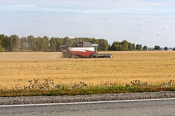 포토 JPG 해외이미지 계절 농업 자동차 자연 하늘 씨앗 사람없음 빨간색 농작물 수확 가을 황금 밀 그림 러시아 작살 해외202004 해외포토 식물 유럽 산업 육상교통 컬러 곡류 생태계 파일형식 이미지허브