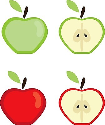 EPS 해외이미지 디자인 음식 잎 다이어트 과일 일러스트 자연 실내 건강 미술 씨앗 그래픽 빨간색 초록색 여름 세트 흰색 신선 달콤 사과 자르기 심볼 사인 유기농 심플 내추럴 고립 엘리먼트 해외202004 해외일러스트 식물 웰빙 계절 컬러 모션 문화예술 내부 맛 생태계 파일형식 벡터 컨셉 이미지허브