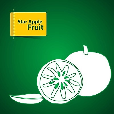 EPS 해외이미지 라이프스타일 디자인 음식 조각 스티커 오렌지 일러스트 자연 딸기 포도 수박 건조 바나나 건강 초록색 여름 라벨 정원 주스 수확 신선 체리 시장 달콤 맛 사과 만화 레몬 파인애플 그림 클립 산딸기 망고 고립 배려 살구 숙성 채식주의자 비건 해외202004 해외일러스트 계절 음료 컬러 컨셉 농업 과일 프레임 생활 열대과일 생태계 채식 파일형식 벡터 이미지허브