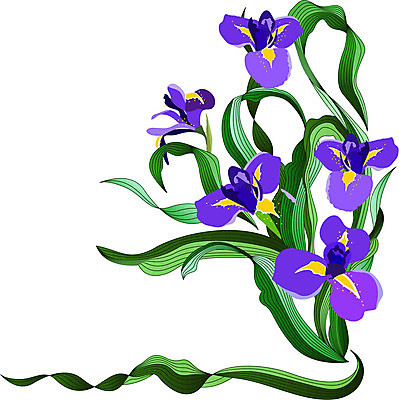 EPS 해외이미지 식물 꽃 선 파도 백그라운드 잎 꽃무늬 일러스트 자연 추상 장식 파란색 우주 정원 페인트 봄 소용돌이 흰색 다발 오브젝트 그림 붓꽃 내추럴 고립 해외202004 해외일러스트 계절 바다 컬러 무늬 회오리 생태계 파일형식 벡터 이미지허브