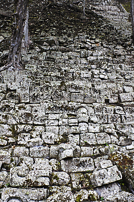 포토 JPG 해외이미지 나무 구름 종교 전통문화 여행 건축양식 아메리카 사람 사람없음 건물 초록색 걷기 바위 나뭇가지 사찰 영혼 역사 큼 피라미드 과거 마야 단계 온두라스 해외202004 해외포토 자연요소 식물 전통 건축물 건축 문화 컬러 컨셉 종교건축 모션 돌_바위 중앙아메리카 크기 대륙 마야문명 랜드마크 파일형식 이미지허브