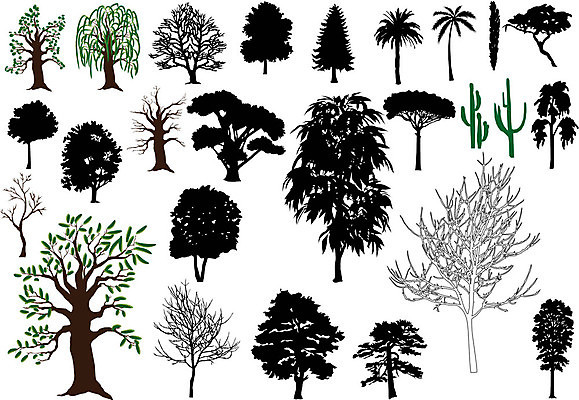 EPS 해외이미지 나무 식물 계절 실루엣 줄기 단풍 잎 겨울 농업 일러스트 자연 날씨 선인장 손바닥 풍경 잔디 여름 정원 검은색 성장 가을 나뭇가지 숲 땅 문신 레몬 싱글 그림 원예 조경 윤곽 전나무 자작나무 고립 미루나무 엘리먼트 옛날 자취 혼자 해외202004 해외일러스트 손 산업 컬러 과일 촬영기법 취미 생태계 파일형식 벡터 이미지허브