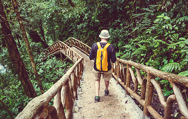 포토 JPG 해외이미지 나무 식물 공원 길 여행 자국 자연 산 매달리기 한명 풍경 야외 초록색 여름 여행객 환경 미국 트래킹 폭포 하이킹 관찰 숲 오솔길 열대우림 지역 내추럴 방법 백패커 산악가 전국 코스타리카 하이커 혼자 해외202004 해외포토 1 계절 공공시설 컬러 북아메리카 모션 레저 사람 중앙아메리카 생태계 파일형식 이미지허브