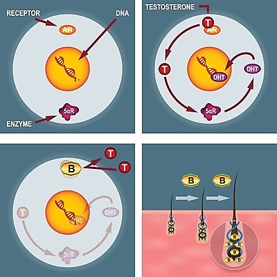EPS 해외이미지 과학 포즈 일러스트 재료 목걸이 건조 건강 치료 약 힘 손상 성장 가을 수리 질병 DNA 강의 피부 뿌리 문제 돌봄 반응 유전 적자 화학약품 해외202004 해외일러스트 계절 컨셉 장신구 의학 모션 신체부위 화학 생명공학 물질 파일형식 벡터 이미지허브