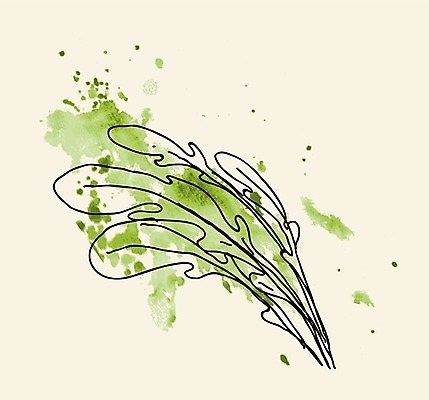 EPS 해외이미지 식물 디자인 음식 잎 농업 다이어트 채소 일러스트 재료 건강 요리 초록색 샐러드 로켓 흰색 나뭇가지 신선 맛 먹기 허브 향신료 오브젝트 유기농 매움 날것 내추럴 고립 루꼴라 엘리먼트 영양분 채식주의자 그리너리 해외202004 해외일러스트 나무 웰빙 산업 컬러 컨셉 모션 채식 향미료 파일형식 벡터 트랜드컬러 이미지허브