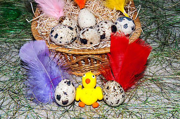 포토 JPG 해외이미지 전통 디자인 계절 꽃 컨셉 조류 휴가 부활절 병아리 사람없음 장식 컬러풀 노란색 바구니 계란 치킨 봄 축하 작음 심볼 솜털 해외202004 해외포토 식물 동물 기념일 컬러 알 크기 닭고기요리 파일형식 이미지허브