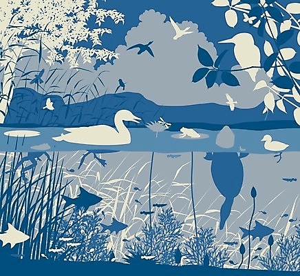 EPS 해외이미지 동물 실루엣 호수 야생동물 일러스트 자연 조류 오리 어류 파란색 환경 수영 다양 시골 연못 자르기 생태계 다이빙 윤곽 물새 서식지 청둥오리 물총새 민물 해외202004 해외일러스트 컬러 다수 모션 촬영기법 수중동물 수상스포츠 수중스포츠 파일형식 벡터 이미지허브