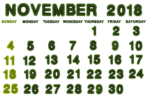 포토 JPG 해외이미지 템플릿 배너 백그라운드 회사 비즈니스 추상 휴가 새로움 이벤트 사람없음 초록색 사무실 3D 다이어리 달력 시간 일주일 날짜 플랫 11월 연도 심플 일요일 월 2018년 금요일 목요일 수요일 월요일 토요일 화요일 해외202004 해외포토 컬러 컨셉 무늬 사무용품 디지털합성 요일 파일형식 이미지허브