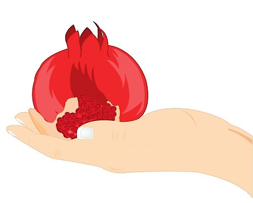 EPS 해외이미지 손 과일 일러스트 손가락 손바닥 사람 빨간색 정원 수확 맛 흰배경 가넷 숙성 해외202004 해외일러스트 컬러 컨셉 농업 신체부위 흰색 보석 파일형식 벡터 산업 광석 이미지허브