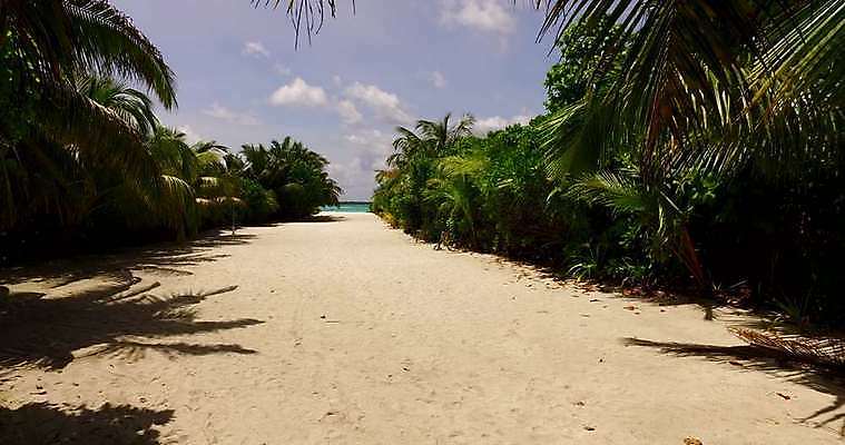 포토 JPG 해외이미지 나무 모래 바다 섬 여행 백그라운드 잎 자연 하늘 휴가 휴식 따뜻함 손바닥 풍경 사람없음 야외 초록색 물 여름 파란색 모래사장 태양 평화 맑음 흰색 코코넛 석호 몰디브 이국적 터키석 파라다이스 수평선 해외202004 해외포토 자연요소 식물 손 계절 아시아 컬러 컨셉 과일 날씨 보석 생태계 파일형식 이미지허브