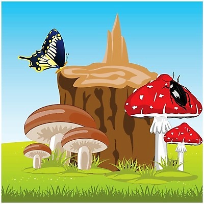 EPS 해외이미지 나무 식물 나비 곤충 일러스트 자연 빨간색 버섯 벌레 허브 식용 해외202004 해외일러스트 동물 컬러 생태계 파일형식 벡터 이미지허브