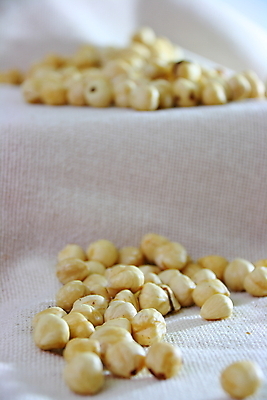 포토 JPG 해외이미지 음식 백그라운드 재료 건강 씨앗 사람없음 갈색 견과류 흰색 직물 오브젝트 유기농 흙더미 내추럴 개암나무 고립 개암 해외202004 해외포토 나무 식물 웰빙 열매 컬러 흙 파일형식 더미 이미지허브