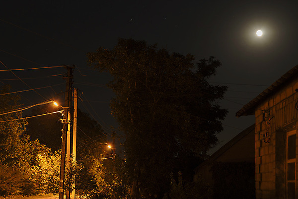 포토 JPG 해외이미지 나무 1 실루엣 별 하늘 조명 주택 풍경 사람없음 가로 파란색 우주 검은색 어둠 침묵 새벽 야간 조경 장면 지역 스카이라인 교외 수평선 해외202004 해외포토 자연요소 식물 컬러 촬영기법 건물 소리 파일형식 이미지허브