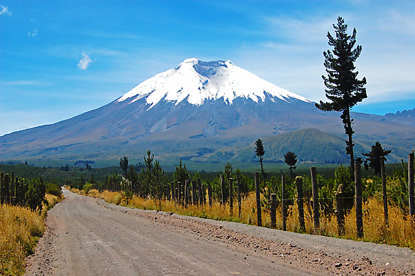 포토 JPG 해외이미지 나무 구름 공원 여행 자연 하늘 산 건조 풍경 사람없음 파란색 갈색 노란색 환경 계곡 검은색 미국 추위 껍질 바위 숲 큼 고도 언덕 화산 먼지 지역 에콰도르 남쪽 압력 웅장함 전국 절정 지리 캡모자 해외202004 해외포토 자연요소 식물 모자_잡화 공공시설 컬러 북아메리카 돌_바위 남아메리카 크기 방향 생태계 파일형식 이미지허브