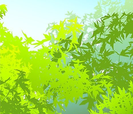 EPS 해외이미지 모양 나무 식물 계절 공원 실루엣 백그라운드 잎 일러스트 자연 벽지 하늘 그림자 미술 풍경 목재 그래픽 장식 초록색 여름 파란색 컬러풀 환경 정원 봄 덮개 가을 시골 신선 그리기 숲 인도인 그림 윤곽 공터 내추럴 생태학 이국적 해외202004 해외일러스트 외국인 공공시설 교육 컬러 재료 모션 문화예술 촬영기법 동양인 뚜껑 생태계 파일형식 벡터 이미지허브