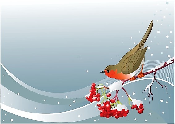 EPS 해외이미지 클립아트 식물 동물 디자인 배너 계절 열매 파도 백그라운드 겨울 일러스트 자연 조류 추상 미술 그래픽 빨간색 숲 만화 다발 그림 클립 엽서 베리 재 카피스페이스 해외202004 해외일러스트 바다 컬러 무늬 과일 문화예술 공백 편지 생태계 파일형식 벡터 이미지허브