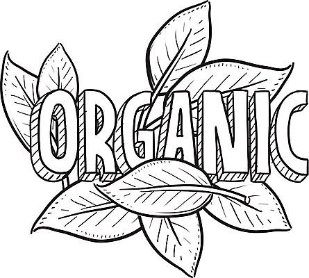 EPS 해외이미지 배너 스티커 농업 일러스트 포장 건강 안전 그래픽 농작물 쇼핑 라벨 환경 식당 시장 낙서 상품 인쇄 스케치 메뉴 그림 유기농 비누 레시피 패키지 슈퍼마켓 내추럴 고립 농약 보증 핸드메이드 해외202004 해외일러스트 웰빙 산업 프레임 미술 위생용품 상점 빚 파일형식 벡터 이미지허브