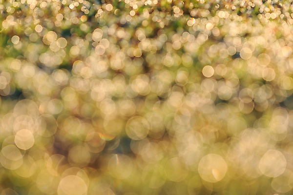 포토 JPG 해외이미지 디자인 백그라운드 크리스마스 추상 휴가 전등 새로움 사람없음 아웃포커스 장식 초록색 파란색 빛 노란색 원형 화려 소프트포커스 보케 소셜네트워크 효과 해외202004 해외포토 도형 기념일 컬러 컨셉 무늬 조명 촬영기법 파일형식 이미지허브