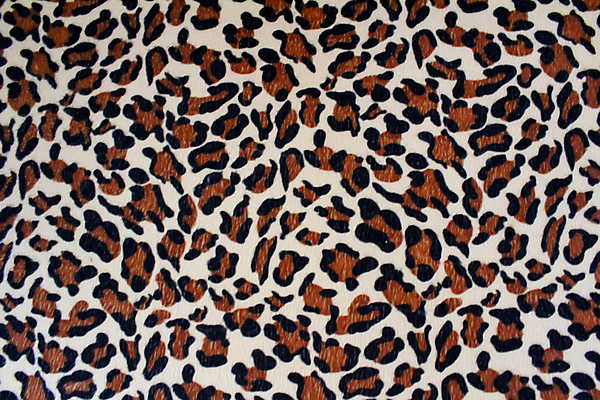 포토 JPG 해외이미지 동물 디자인 야생동물 선 백그라운드 패턴 곡선 오렌지 아프리카 자연 벽지 추상 털 동물원 사람없음 장식 갈색 유행 검은색 줄무늬 카펫 직물 그리기 인쇄 사파리 피부 묘사 질감 치타 표범 동물상 인기 해외202004 해외포토 나라 컬러 무늬 과일 포유류 모션 신체부위 조형물 생태계 파일형식 이미지허브