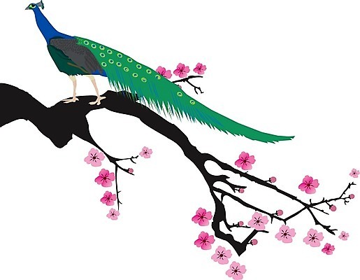 EPS 해외이미지 나무 식물 전통 디자인 계절 꽃잎 꽃 실루엣 줄기 분홍색 백그라운드 잎 꽃무늬 패턴 일러스트 자연 조류 추상 미술 풍경 그래픽 장식 여름 유행 정원 봄 벚꽃 흰색 나뭇가지 개화 체리 우아함 공작 연도 해외202004 해외일러스트 동물 컬러 컨셉 무늬 과일 문화예술 촬영기법 생태계 파일형식 벡터 이미지허브