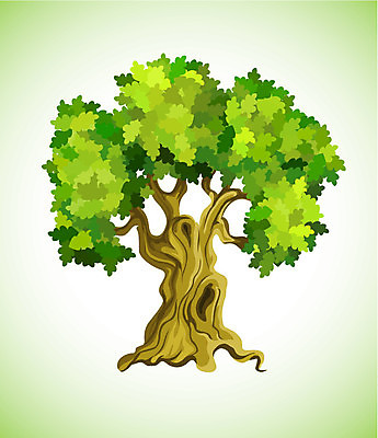 EPS 해외이미지 나무 식물 1 백그라운드 잎 일러스트 자연 왕관 초록색 환경 힘 흰색 큼 심볼 오브젝트 싱글 그림 생태계 내추럴 고립 고체 생태학 옛날 해외202004 해외일러스트 교육 컬러 크기 파일형식 벡터 이미지허브