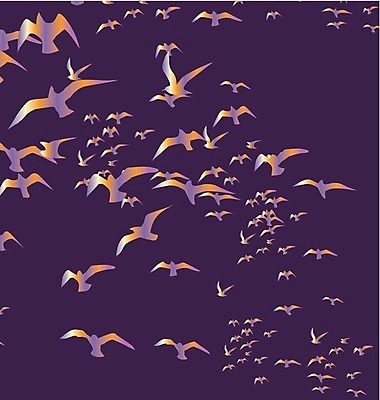 EPS 해외이미지 모양 동물 계절 실루엣 야생동물 날개 일러스트 가족 자연 갈매기 조류 하늘 휴가 휴식 종류 그림자 야외 여름 세트 자유 그리기 그룹 공작 숲 왜가리 문신 심볼 깃털 비둘기 앵무새 윤곽 독수리 철사 까마귀 해외202004 해외일러스트 컨셉 관계 모션 촬영기법 생태계 파일형식 벡터 이미지허브