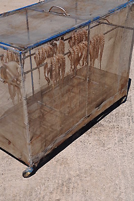 포토 JPG 해외이미지 동물 전통 음식 바다 여행 낚시 휴가 거리 건조 매달리기 어류 사람없음 파란색 신선 잡기 고리 시장 큼 해산물 그리스 오징어 준비 문어 촉수 그리스인 많음 해외202004 해외포토 서양인 유럽 컬러 컨셉 모션 레저 연체동물 수중동물 크기 파일형식 이미지허브