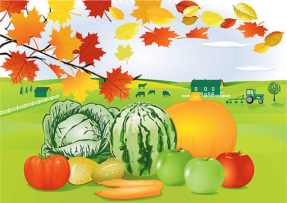 EPS 해외이미지 전통 계절 음식 단풍 잎 밭 토마토 채소 과일 일러스트 자연 호박 휴가 감자 풍경 장식 컬러풀 농장 정원 당근 수확 가을 시골 축하 신선 사과 멜론 11월 양배추 트랙터 추수감사절 칠면조 10월 내추럴 밭일 해외202004 해외일러스트 식물 기독교 컬러 컨셉 농업 조류 뿌리채소 날짜 농기계 생태계 특수차량 파일형식 벡터 이미지허브