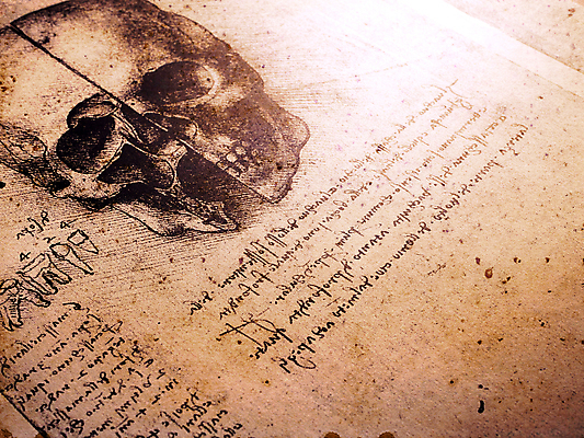 포토 JPG 해외이미지 남자 종이 과학 백그라운드 신체 일러스트 텍스트 해부 미술 사람 사람없음 약 건강관리 이탈리아 손상 수확 골동품 역사 스케치 심볼 과학자 그림 질감 생물학 페이지 그런지 옛날 해외202004 해외포토 직업 교육 유럽 컨셉 농업 의학 문화예술 건강 관리 학자 파일형식 이미지허브