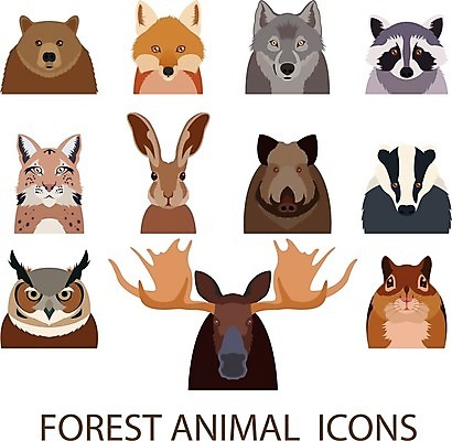 EPS 해외이미지 동물 여러마리 일러스트 곰 사람없음 세트 머리 토끼 다람쥐 여우 부엉이 너구리 늑대 멧돼지 무스 스컹크 스라소니 해외202004 해외일러스트 다수 포유류 조류 신체부위 반려동물 설치류 파일형식 벡터 이미지허브