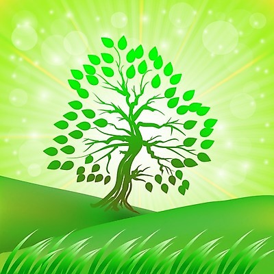 EPS 해외이미지 나무 식물 디자인 계절 꽃 백그라운드 컨셉 잎 꽃무늬 일러스트 텍스트 자연 하늘 추상 부활절 풍경 야외 아웃포커스 그래픽 장식 초록색 여름 파란색 빛 컬러풀 햇빛 태양 우주 정원 맑음 페인트 봄 새벽 광선 신선 신용카드 심볼 내추럴 블러 파라다이스 해외202004 해외일러스트 자연요소 기념일 컬러 무늬 날씨 촬영기법 금융 생태계 파일형식 벡터 이미지허브