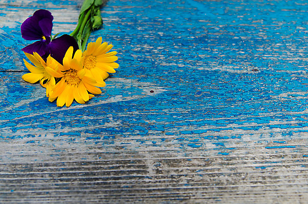 포토 JPG 해외이미지 식물 꽃 백그라운드 잎 꽃무늬 자연 벽지 탁자 표면 프레임 미술 사람없음 목재 장식 컬러풀 갈색 우주 정원 수확 벚꽃 시골 널 질감 옛날 해외202004 해외포토 나무 컬러 가구 무늬 농업 재료 문화예술 생태계 파일형식 이미지허브