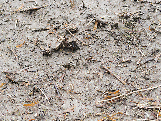 포토 JPG 해외이미지 식물 지구 백그라운드 잎 겨울 새로움 사람없음 갈색 정원 봄 회색 젖음 성장 죽음 파편 자르기 유기농 서리 뿌리 먼지 점토 담배꽁초 시스템 썩음 해외202004 해외포토 웰빙 계절 컬러 컨셉 모션 담배 파일형식 이미지허브