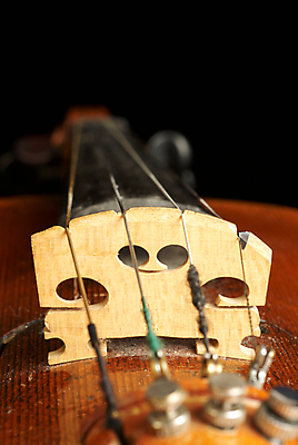 포토 JPG 해외이미지 줄 사람없음 목재 수확 기구 바이올린 뮤지컬 해외202004 해외포토 나무 농업 재료 현악기 파일형식 이미지허브