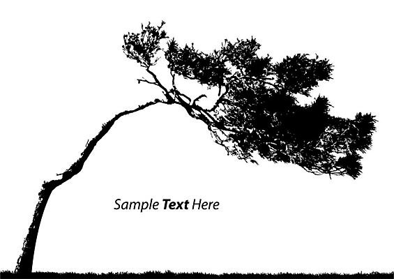 EPS 해외이미지 나무 식물 계절 실루엣 일러스트 자연 벽지 야외 나뭇가지 시골 고독 숲 고립 땅바닥 해외202004 해외일러스트 감정 바닥 촬영기법 생태계 파일형식 벡터 이미지허브