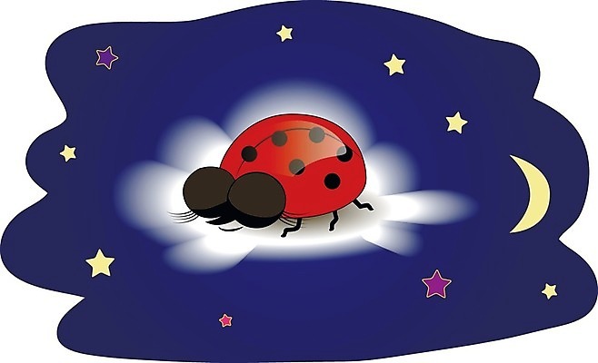 EPS 해외이미지 동물 구름 캐릭터 행복 별 일러스트 상상 자연 하늘 동화 휴식 이야기 미소 그래픽 파란색 반짝임 꿈 달 흰색 잠 야간 만화 기적 그림 무당벌레 애니메이션 해외202004 해외일러스트 일러캐릭터 자연요소 감정 컬러 곤충 컨셉 모션 표정 생태계 파일형식 벡터 이미지허브